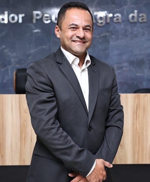 ALEX SANDRO DA SILVA GUEDES